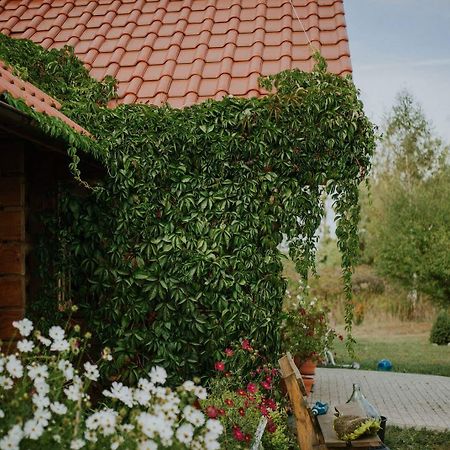 Dom Goscinny Sowia Stopka Miłomłyn Extérieur photo