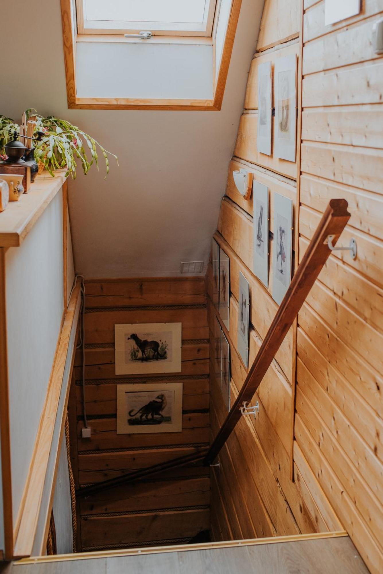 Dom Goscinny Sowia Stopka Miłomłyn Extérieur photo