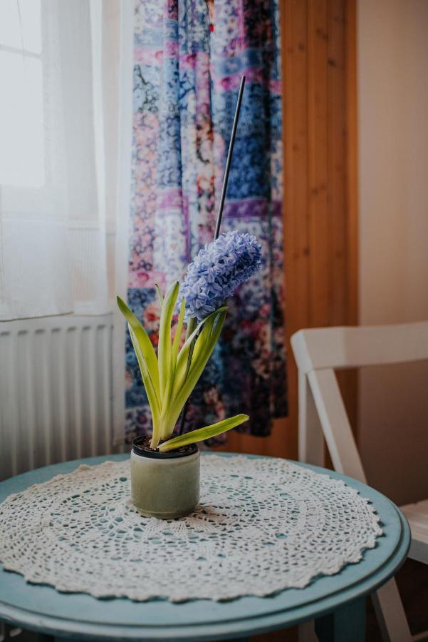 Dom Goscinny Sowia Stopka Miłomłyn Extérieur photo