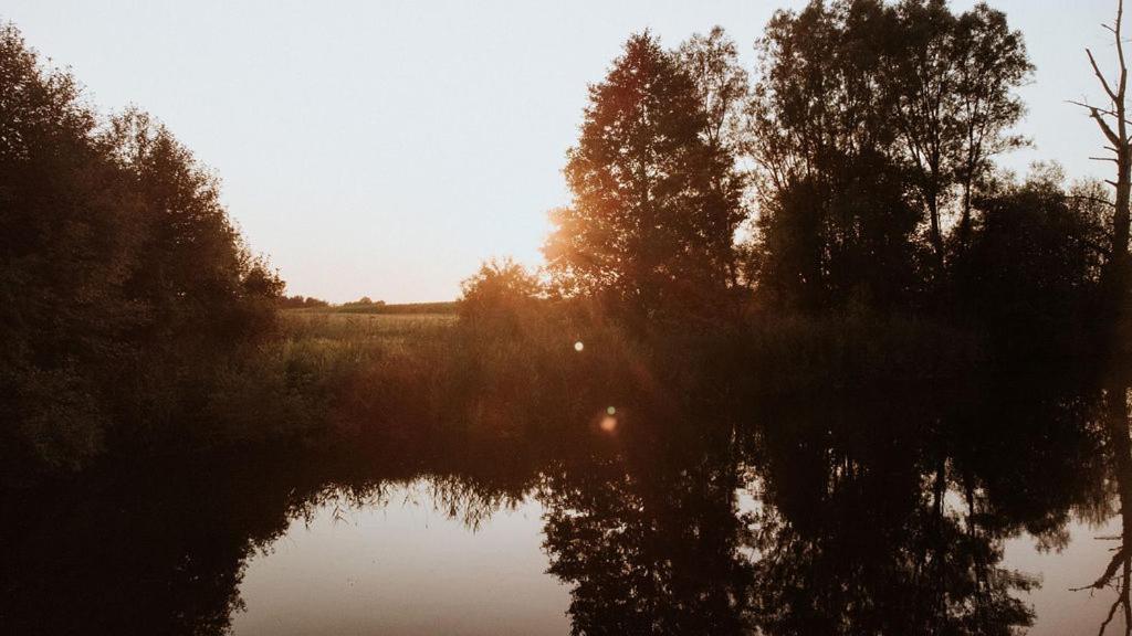 Dom Goscinny Sowia Stopka Miłomłyn Extérieur photo