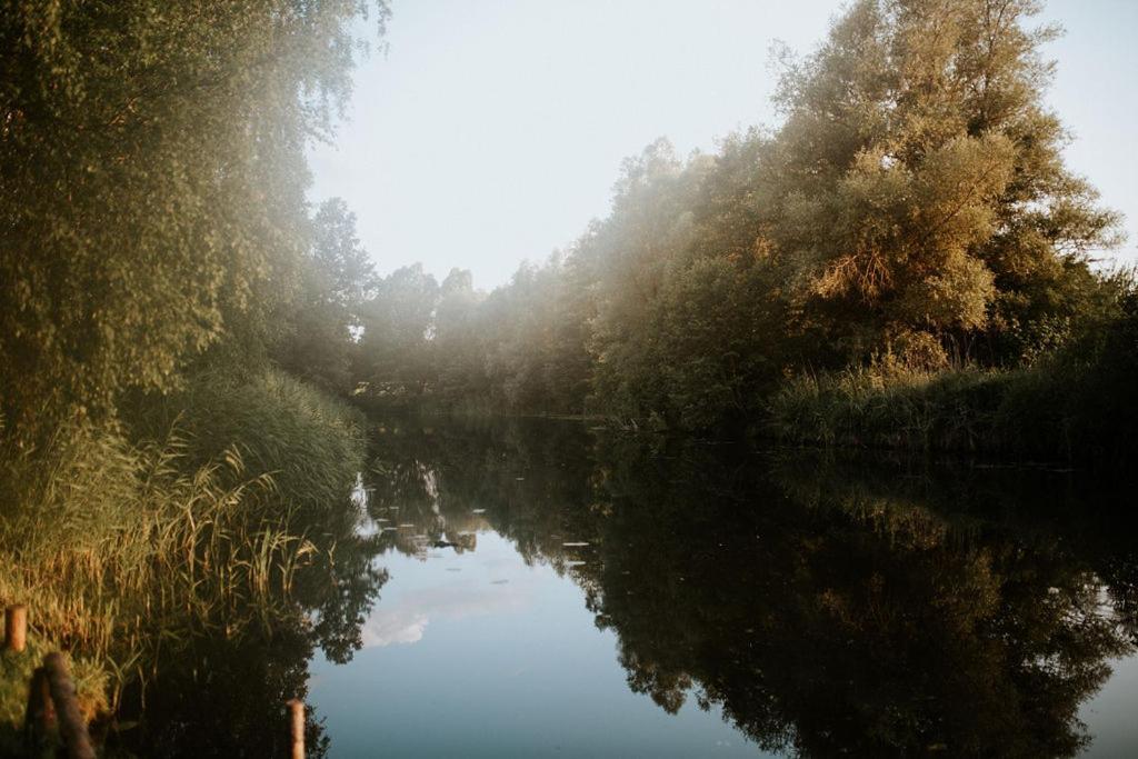 Dom Goscinny Sowia Stopka Miłomłyn Extérieur photo
