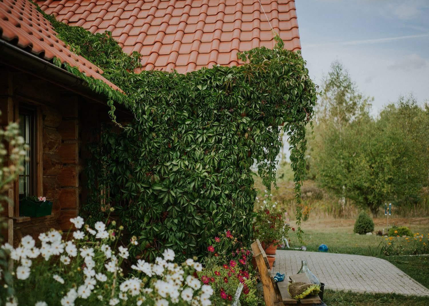 Dom Goscinny Sowia Stopka Miłomłyn Extérieur photo
