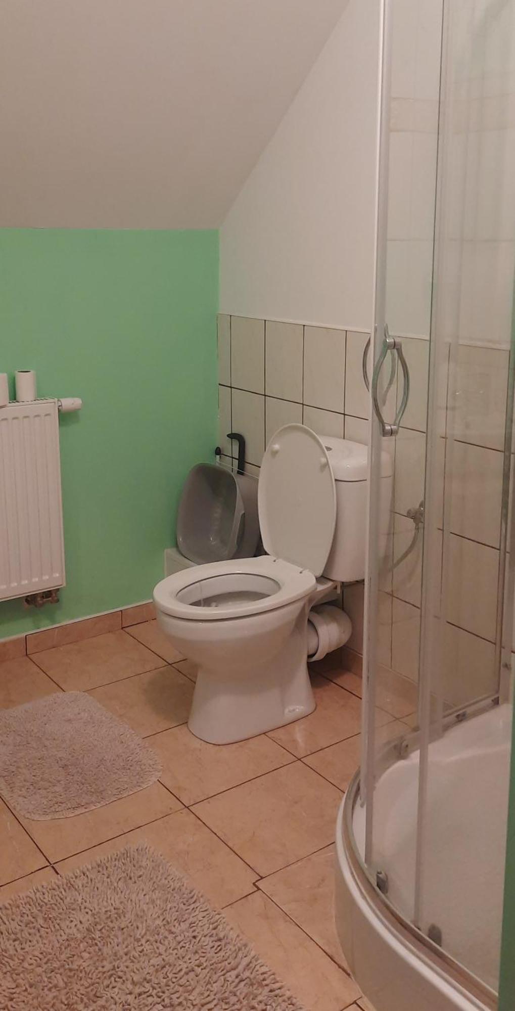 Dom Goscinny Sowia Stopka Miłomłyn Chambre photo